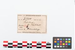 Etikett zu Bronzearmreif (NHMW-PRAE-025734)
